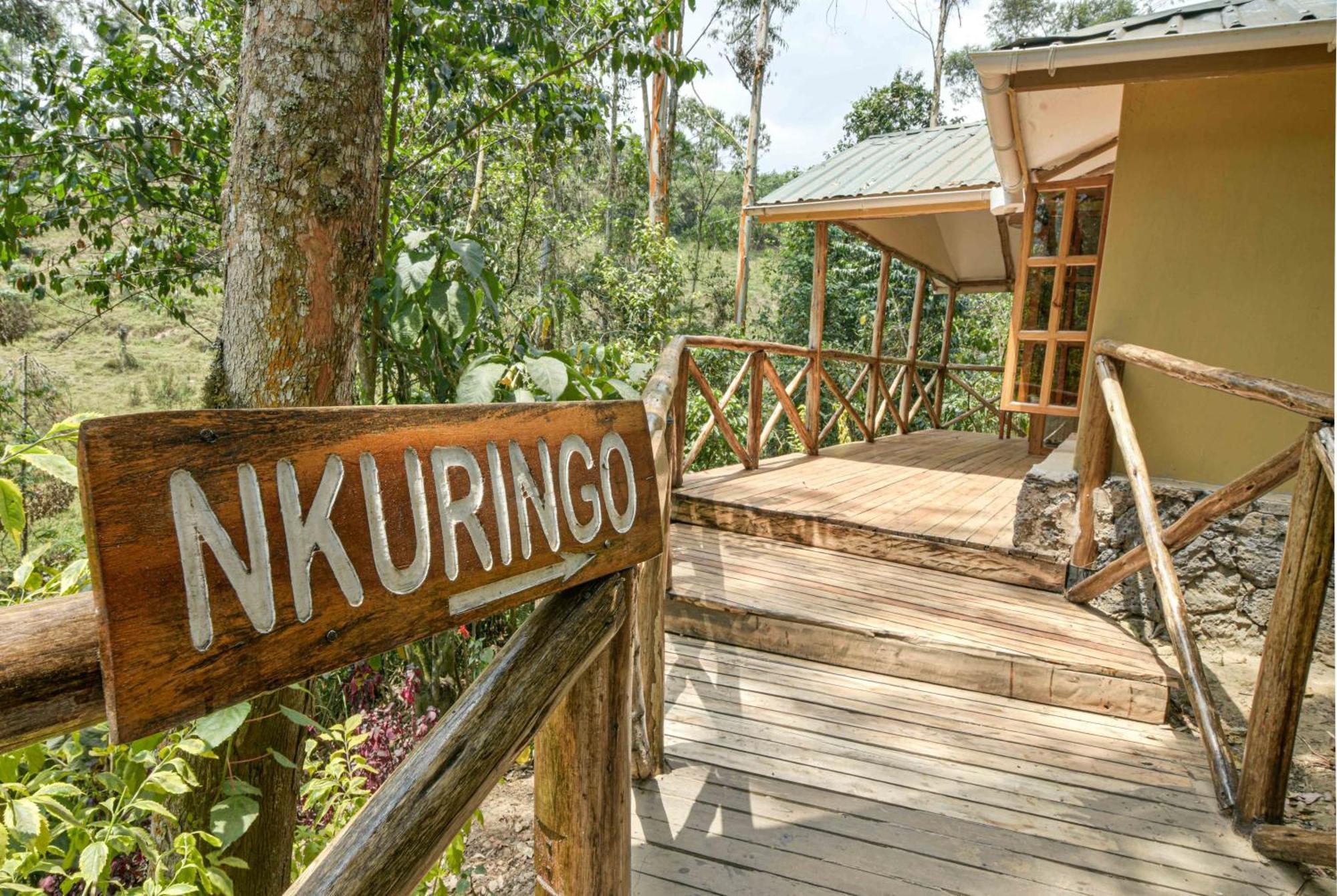 Gorilla Safari Lodge Rubuguli المظهر الخارجي الصورة