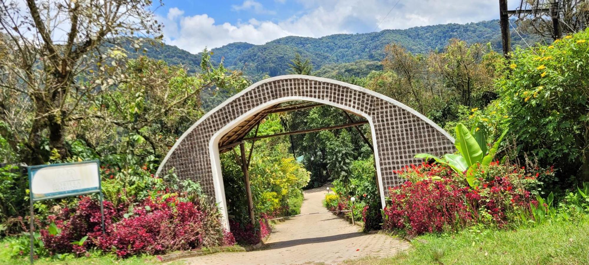 Gorilla Safari Lodge Rubuguli المظهر الخارجي الصورة