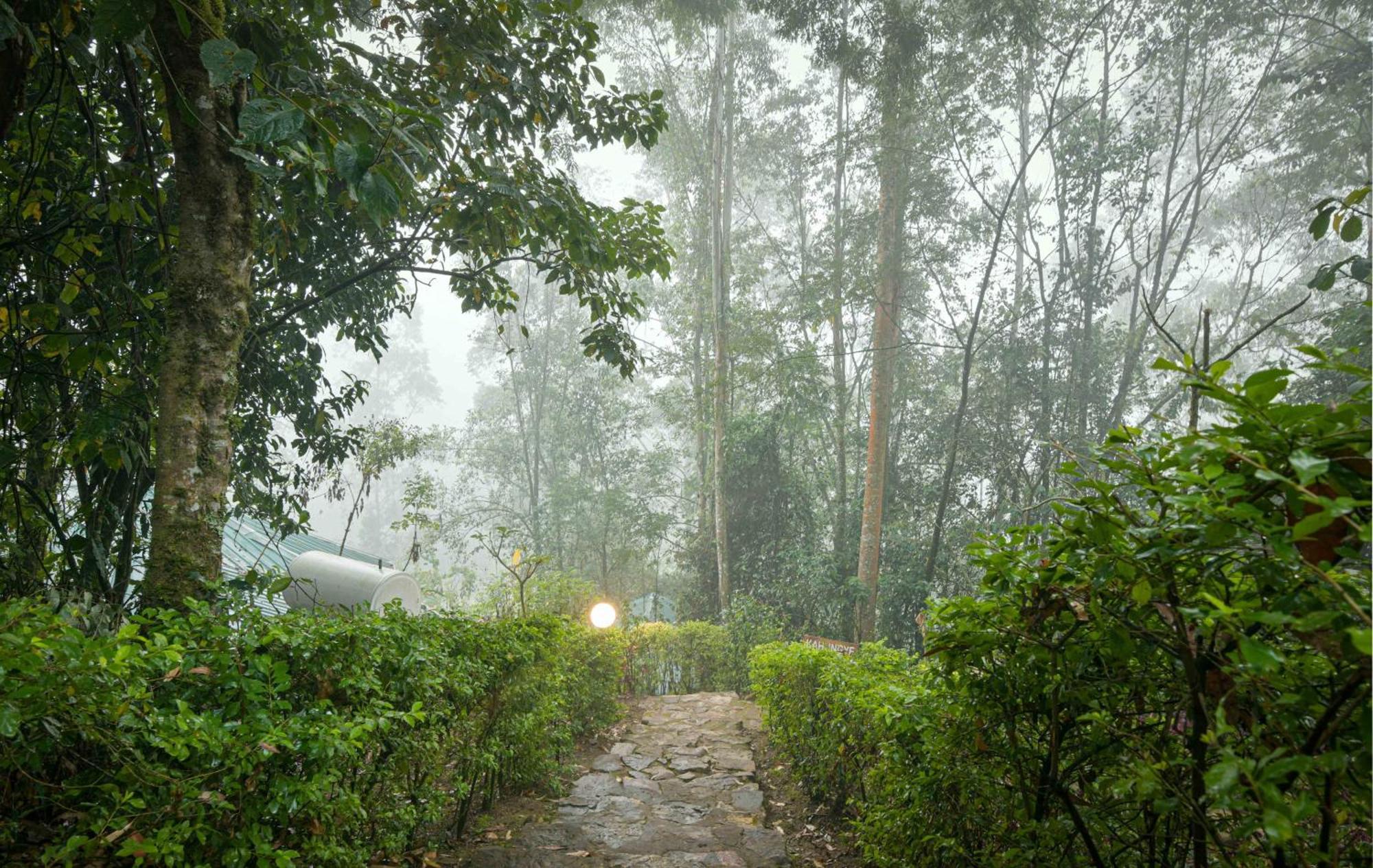 Gorilla Safari Lodge Rubuguli المظهر الخارجي الصورة