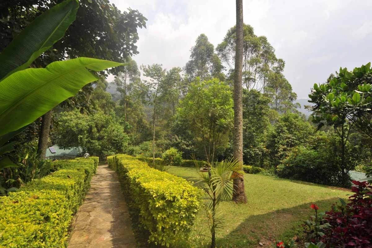 Gorilla Safari Lodge Rubuguli المظهر الخارجي الصورة